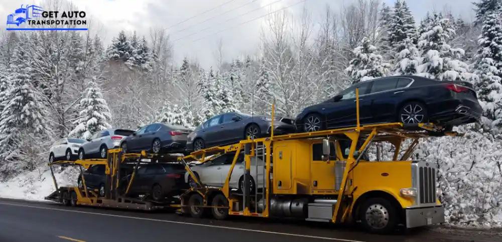 Snowbird car shipping service